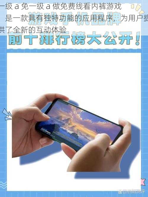一级 a 免一级 a 做免费线看内裤游戏,是一款具有独特功能的应用程序,为用户提供了全新的互动体验