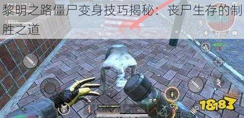 黎明之路僵尸变身技巧揭秘:丧尸生存的制胜之道
