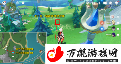 原神枫丹特有飞禽在哪