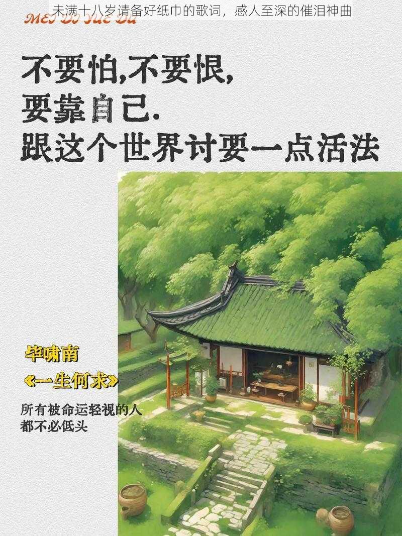 未满十八岁请备好纸巾的歌词,感人至深的催泪神曲