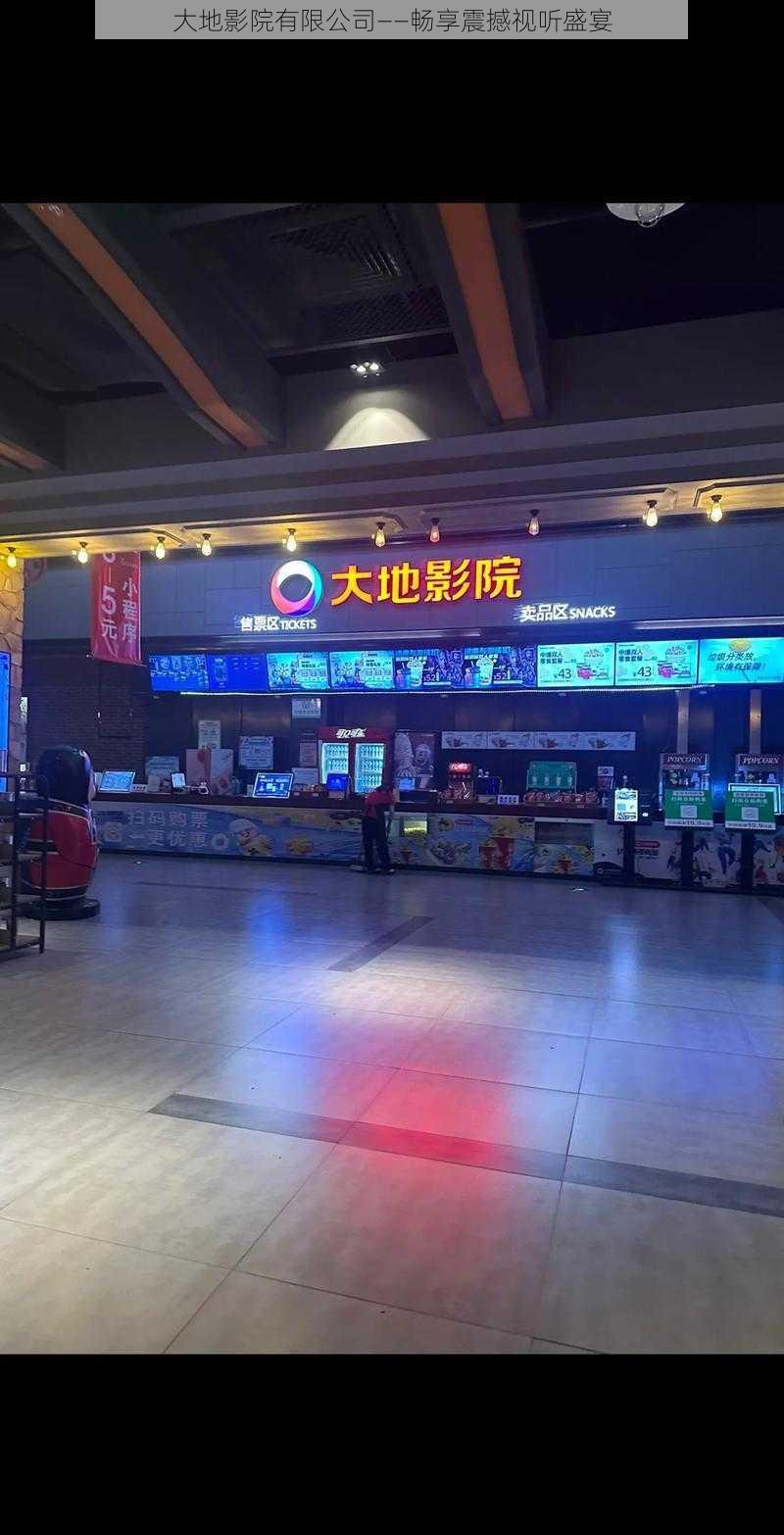大地影院有限公司——畅享震撼视听盛宴