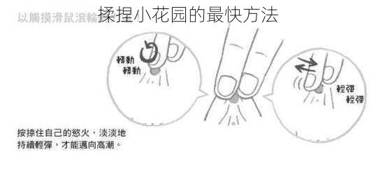 揉捏小花园的最快方法