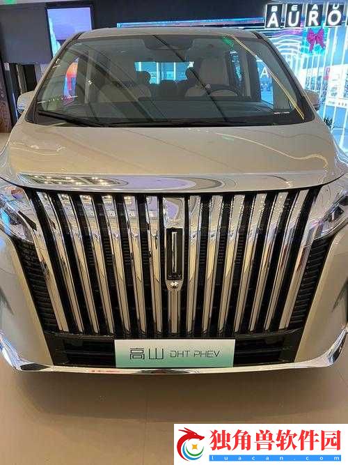 中大型豪华-SUV：魏牌高山-MPV