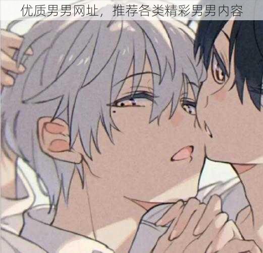 优质男男网址，推荐各类精彩男男内容