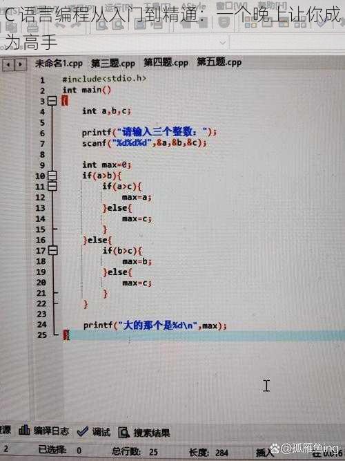 C 语言编程从入门到精通:一个晚上让你成为高手