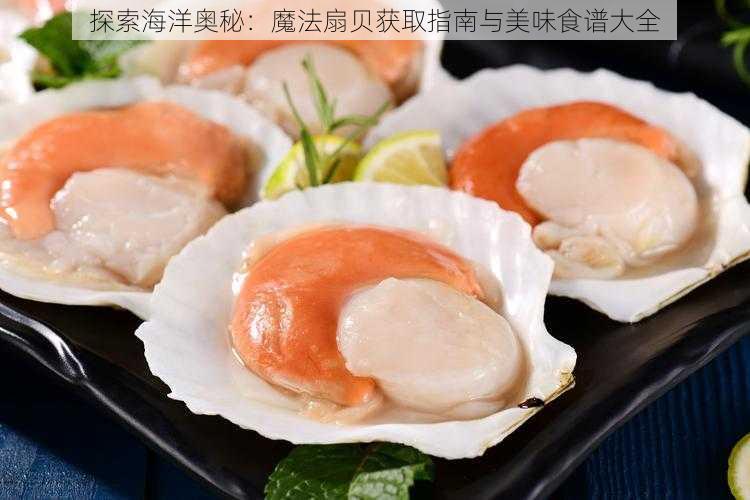 探索海洋奥秘:魔法扇贝获取指南与美味食谱大全