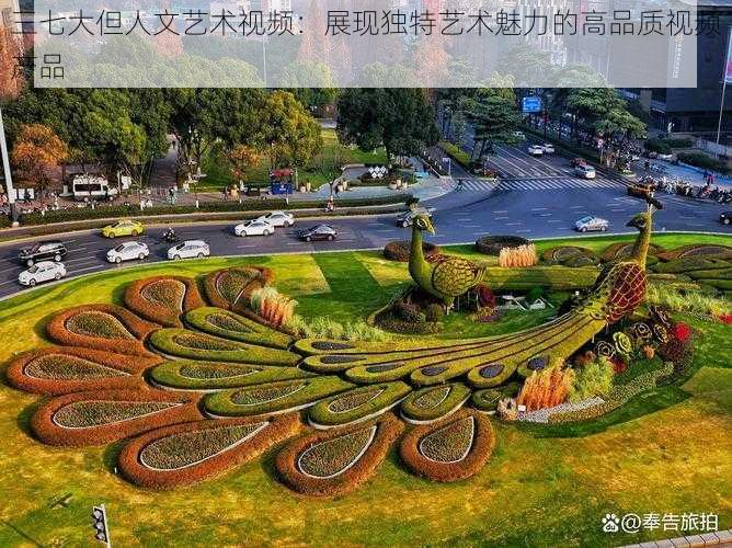 三七大但人文艺术视频:展现独特艺术魅力的高品质视频产品