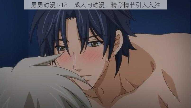 男男动漫 R18，成人向动漫，精彩情节引人入胜