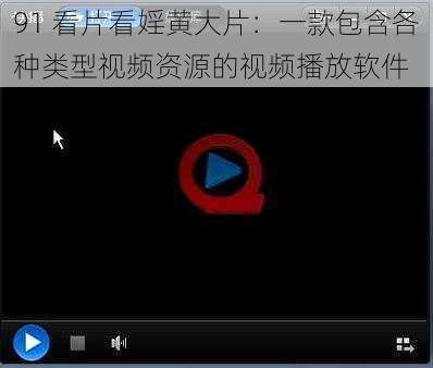 91 看片看婬黄大片:一款包含各种类型视频资源的视频播放软件