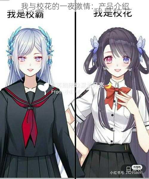 我与校花的一夜激情：产品介绍