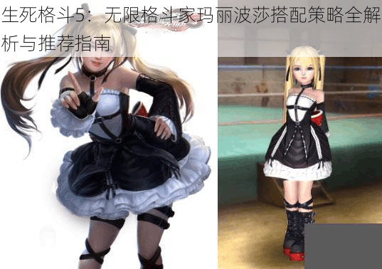 生死格斗5:无限格斗家玛丽波莎搭配策略全解析与推荐指南