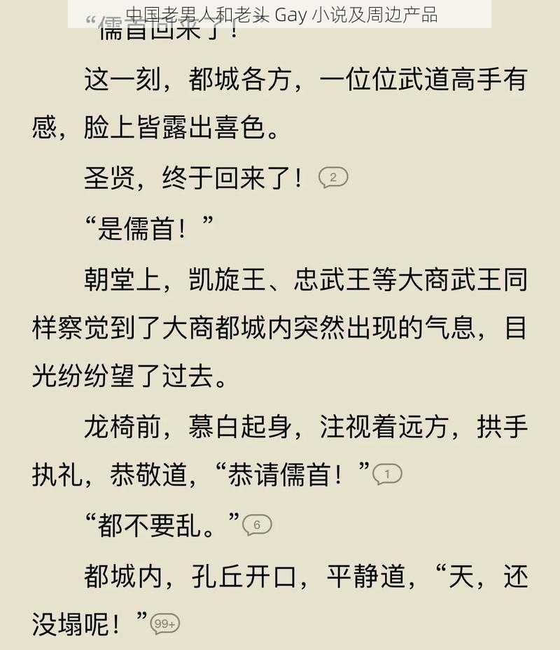 中国老男人和老头 Gay 小说及周边产品