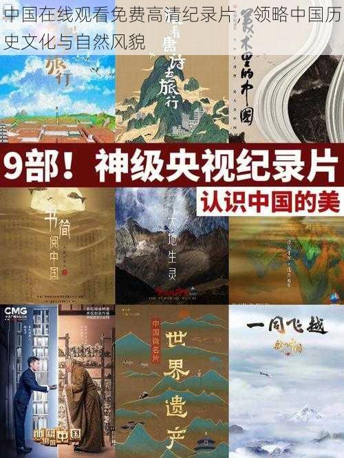 中国在线观看免费高清纪录片，领略中国历史文化与自然风貌