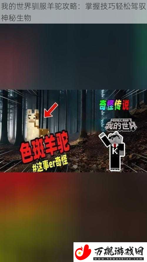 我的世界驯服羊驼攻略