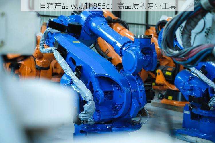 国精产品 w灬1h855c:高品质的专业工具