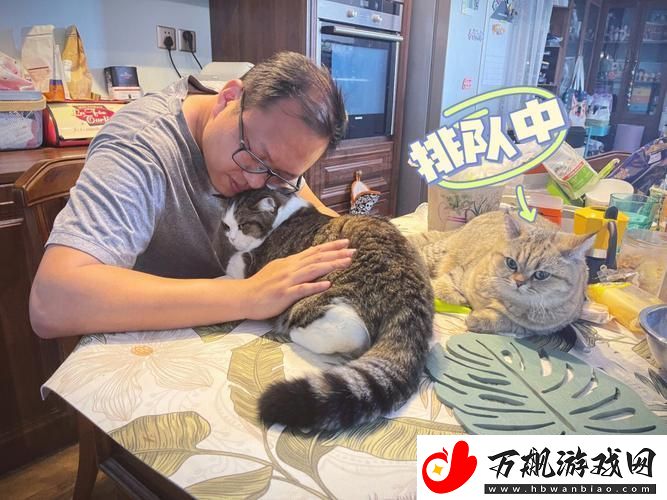 宠物控新潮流：男性宠友的另类解压之路