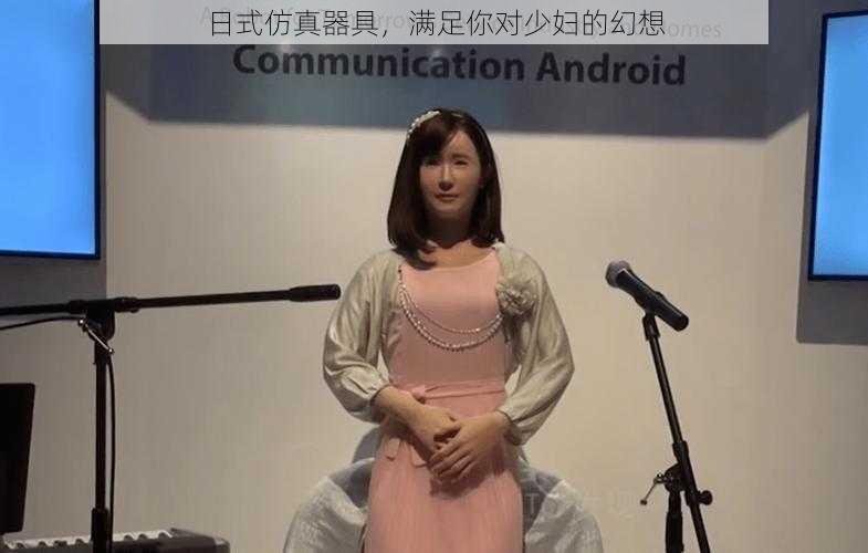 日式仿真器具,满足你对少妇的幻想