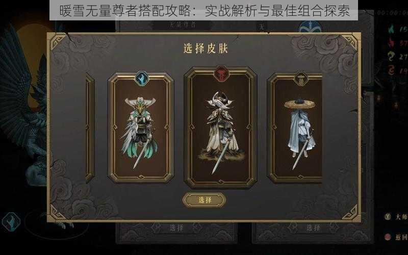 暖雪无量尊者搭配攻略:实战解析与最佳组合探索