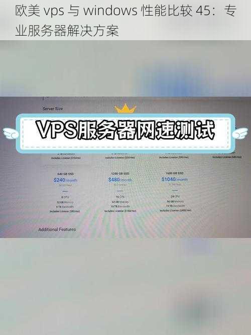 欧美 vps 与 windows 性能比较 45:专业服务器解决方案