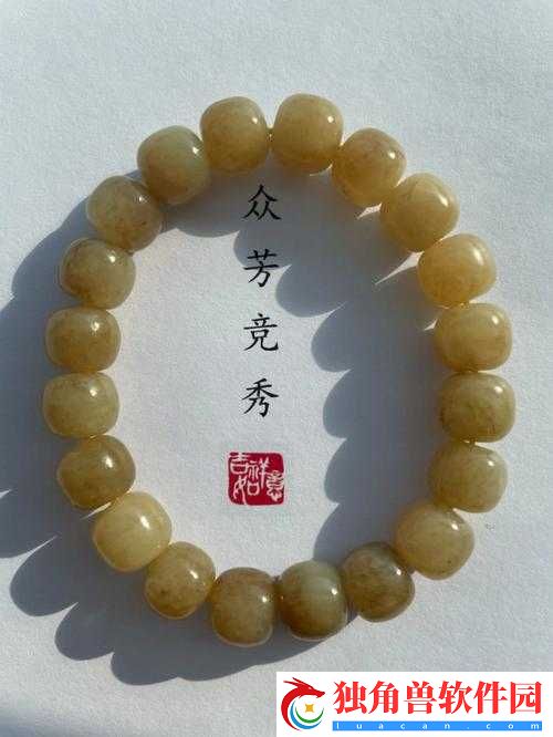 杨大壮和田桂花第二十九的后续故事