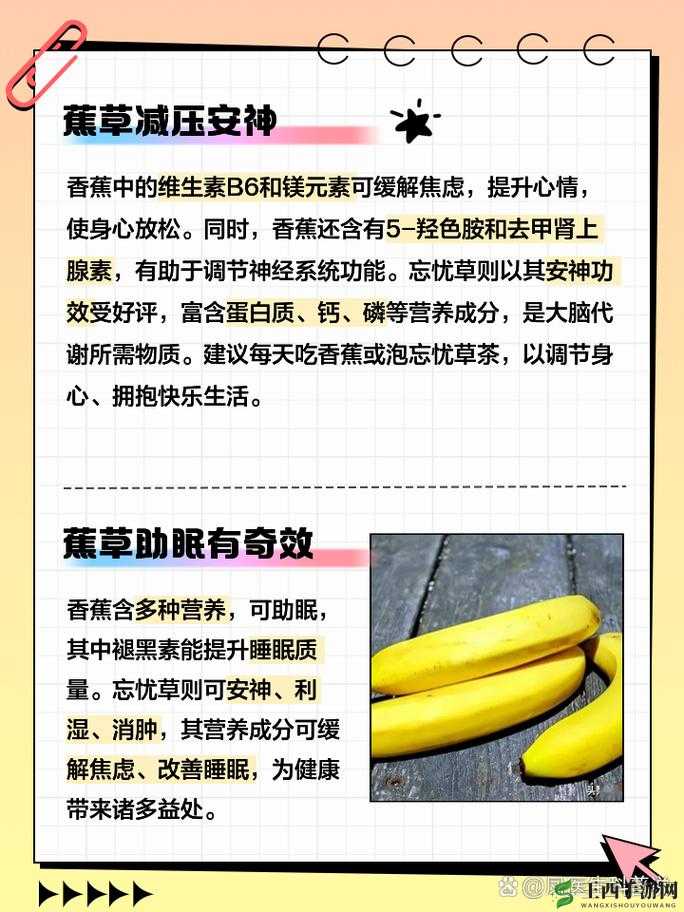 香蕉和忘忧草：缓解焦虑的天然选择