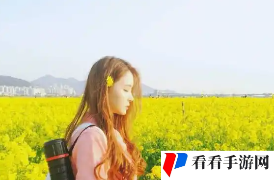 草莓丝瓜芭乐免费入口