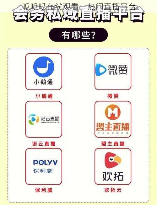 呱呱呱在线观看：热门直播平台