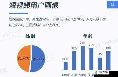 18 款禁用 B 站视频：深度剖析被禁背后的原因及影响