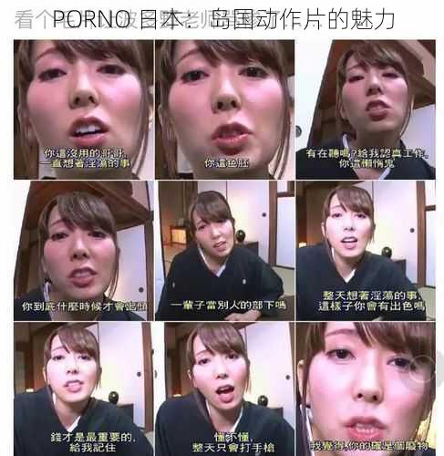 PORNO 日本:岛国动作片的魅力