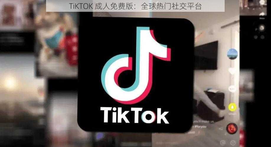 TiKTOK 成人免费版：全球热门社交平台