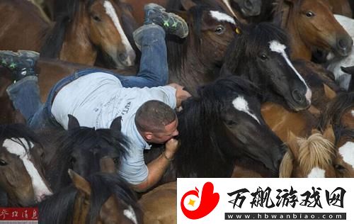 科技界“人马共性”奇观