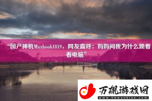 “国产神机Maxbook1819