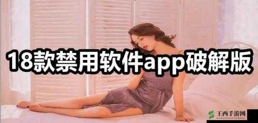 夜里 30 款禁用软件：为何被禁用及对我们生活的影响