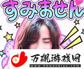 安相机是什么意思