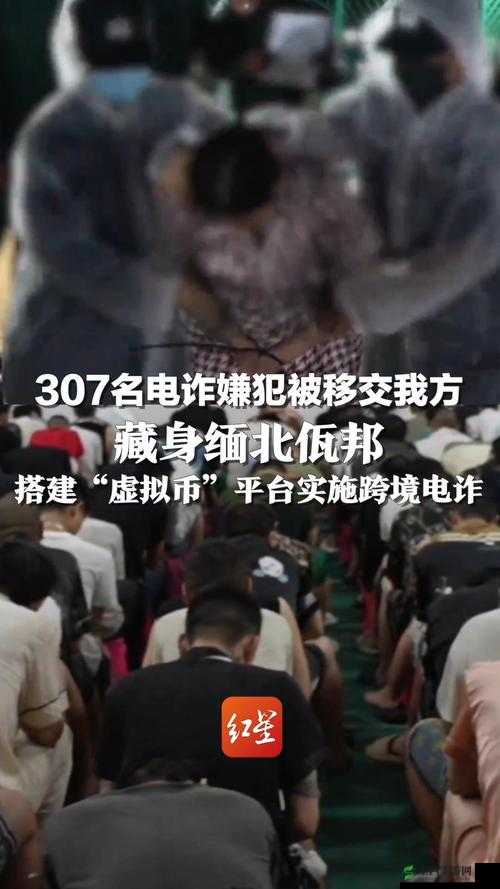 缅甸北部血腥网站 2024：揭秘缅北电信诈骗的黑暗面纱
