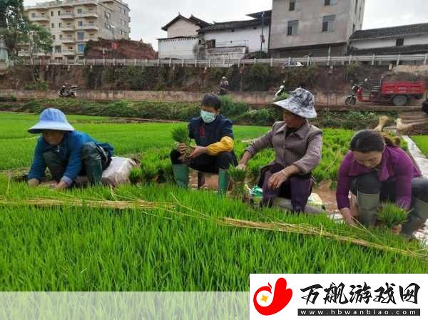 情侣插秧的100种方法