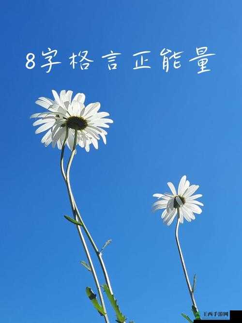 黑料正能量:从负面事件中发掘积极的力量和启示
