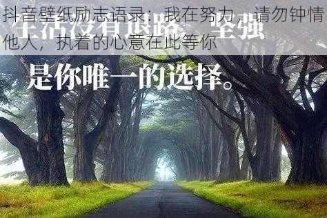抖音壁纸励志语录:我在努力,请勿钟情他人,执着的心意在此等你