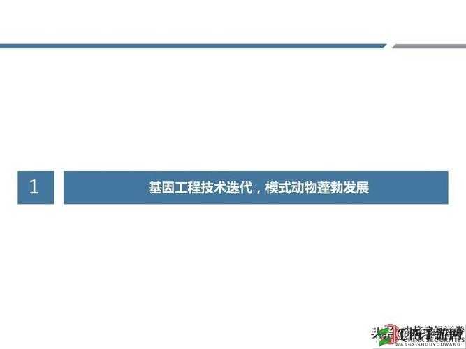 人与动物 PPT 免费模板大全将开拓国内市场:助力行业创新发展新征程