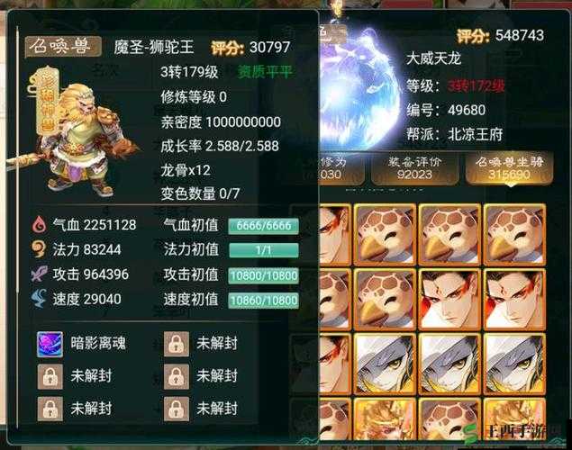 大话西游手游神兽丹获取途径一览,资源管理的艺术