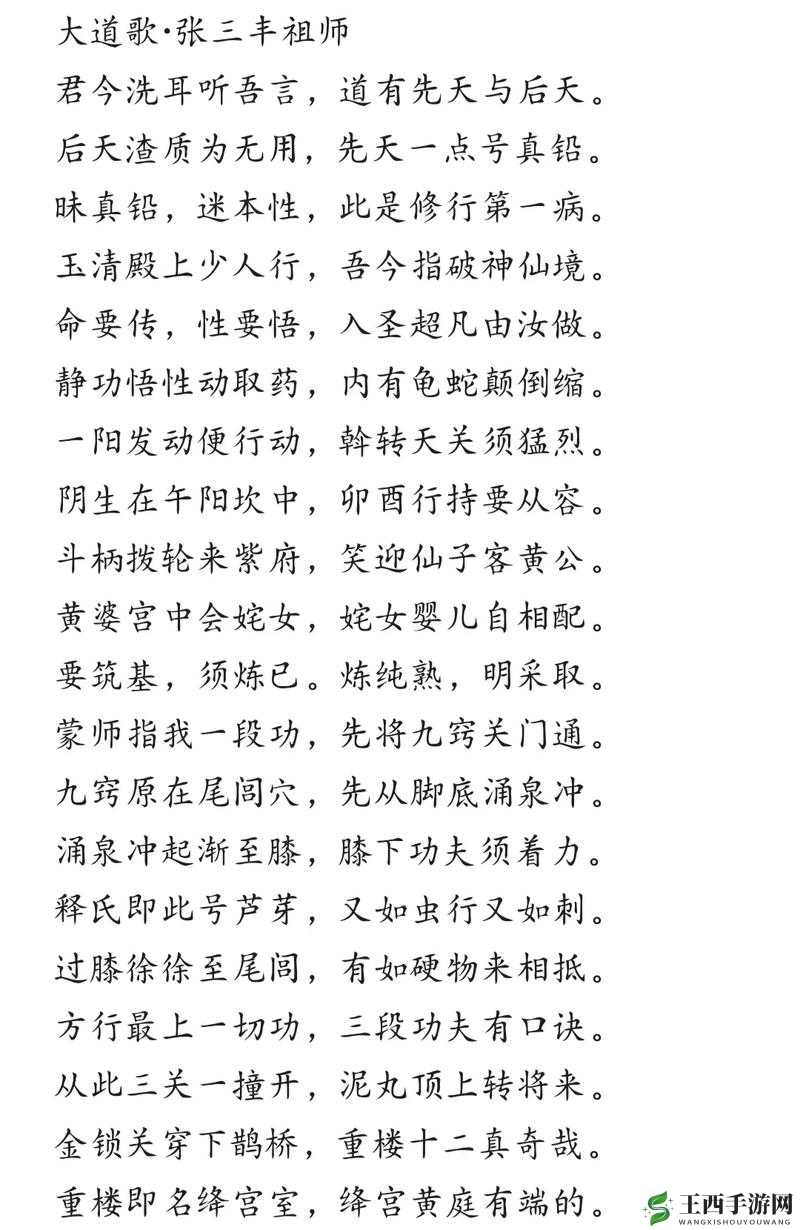 如何修炼龟波性功,让你成为真正的武林高手