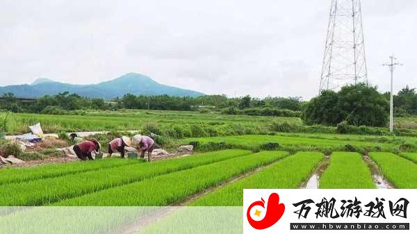 情侣的30种插秧法