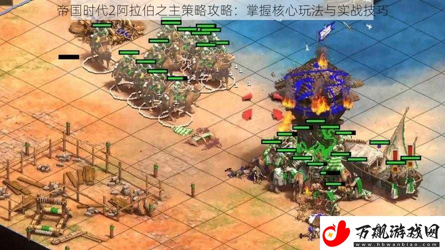 帝国时代2阿拉伯之主策略攻略：掌握核心玩法与实战技巧