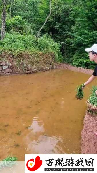 情侣的30种插秧法