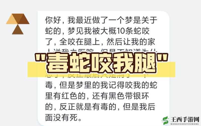 少年掉进蛇洞被蛇改造成怪物:一段惊悚离奇的故事就此展开
