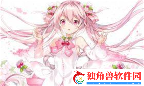 939W乳液78W78WYW55523：强大的后台管理系统详解