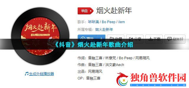 望着漫天烟花欢乐贺新年是什么歌-烟火赴新年歌曲介绍