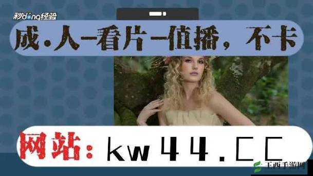 麻豆视传媒官方网站入口进入免费：警惕非法网站避免上当受骗