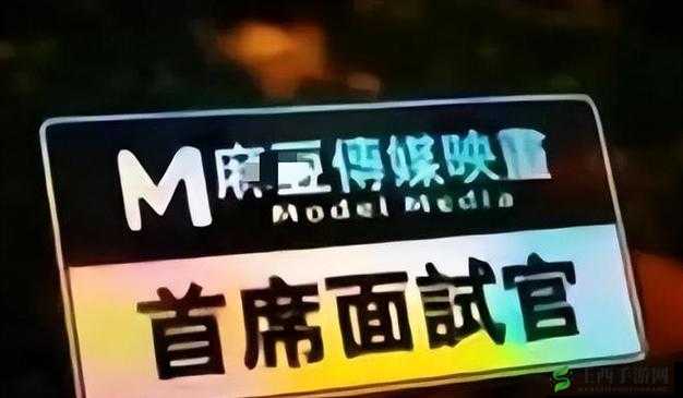 麻豆视传媒APP官方网站入口:带你走进精彩的影视世界