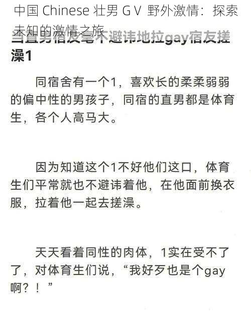 中国 Chinese 壮男 GⅤ 野外激情：探索未知的激情之旅
